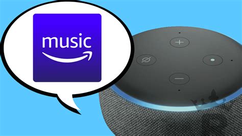 Why Won't Alexa Play Music, and the Mysterious World of Digital Audio Troubleshooting